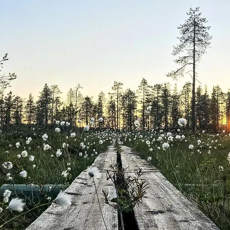 Holiday home Jussis B By Interhome Kuusamo