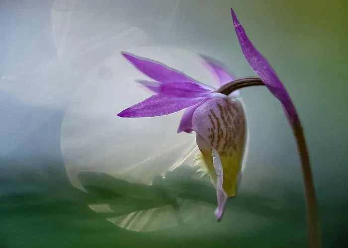 Jussis B By Interhome